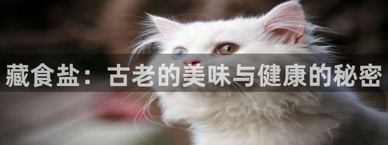 威九国际在哪里