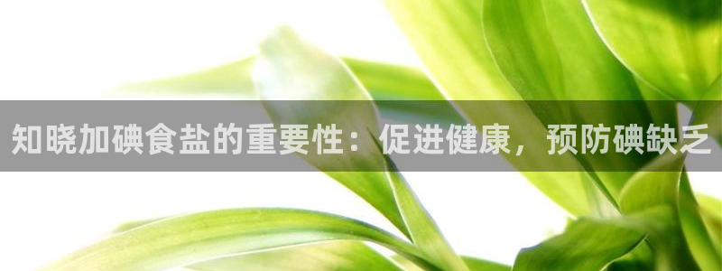 威九国际女艺人