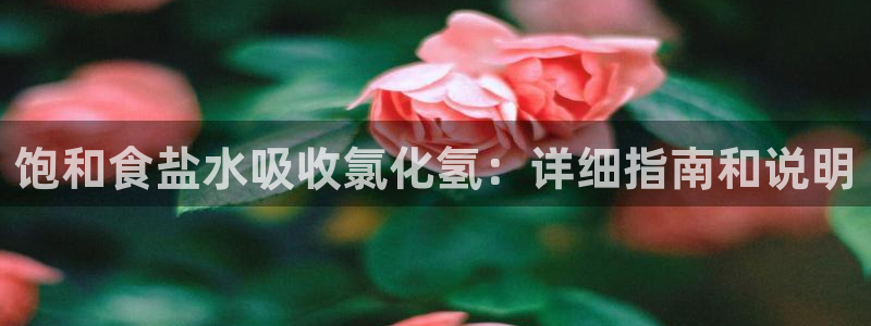威九国际78mb
