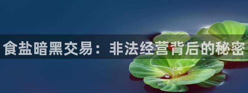 威九国际Sxsx