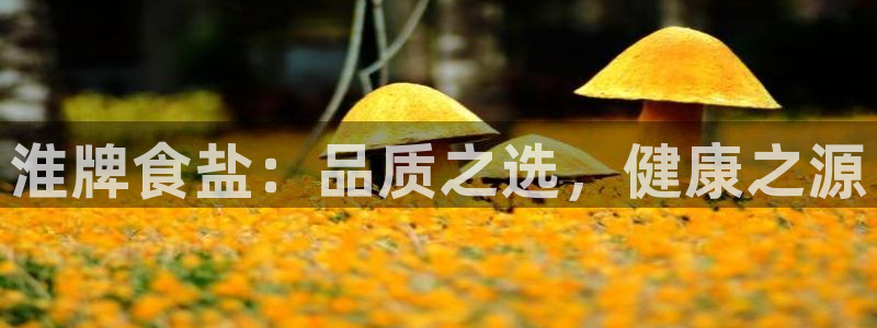 威九国际66