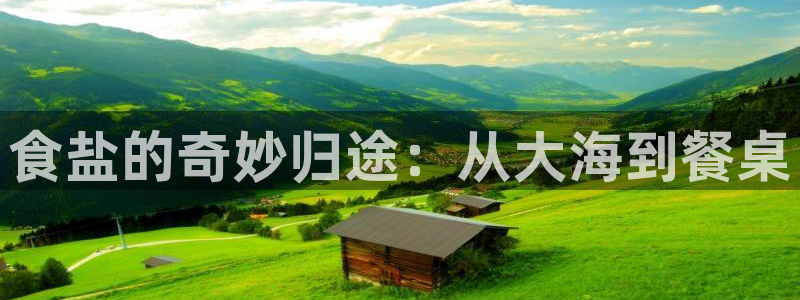 威九国际官网版下载