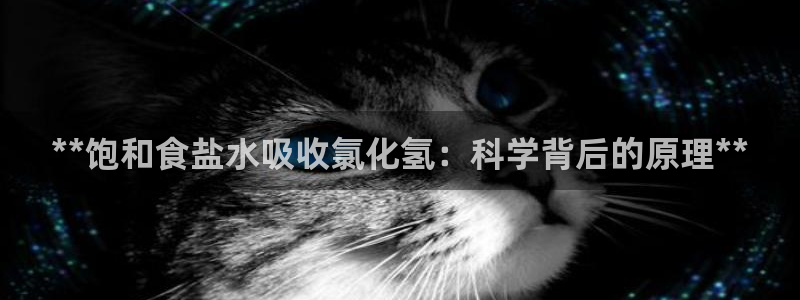 威九国际娜娜