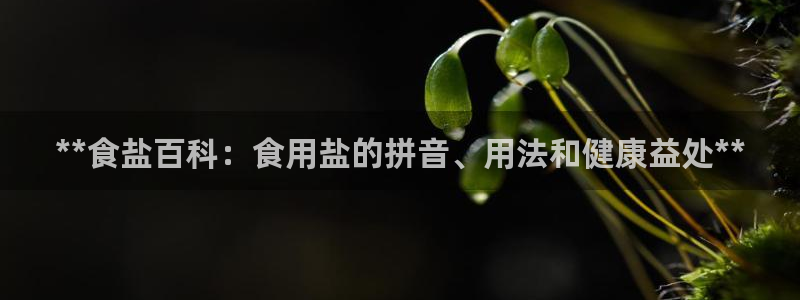 威九国际网站影视