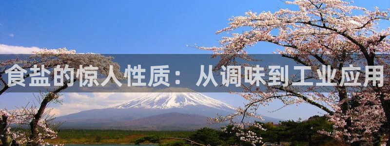 威九国际网站入口官网首页