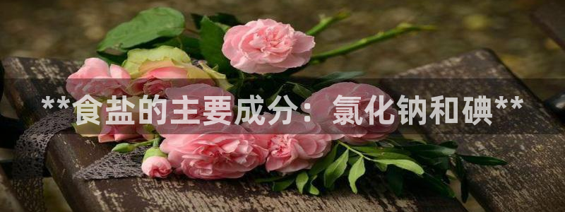 威九国际mm