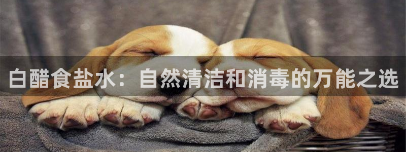 威九国际app客服电话