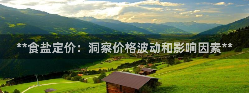 威九国际ppt免费