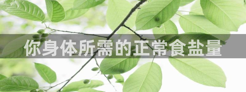 威九国际网站官网