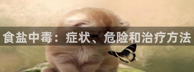 威九国际的金融服务怎么样