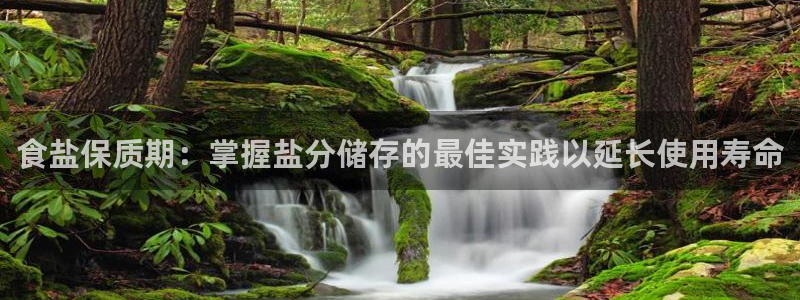 威九国际网站影视