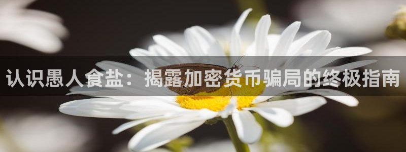 威九国际观看