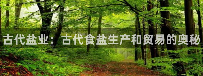 威九国际78mb下