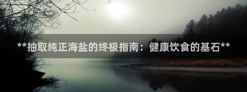 威九国际软件