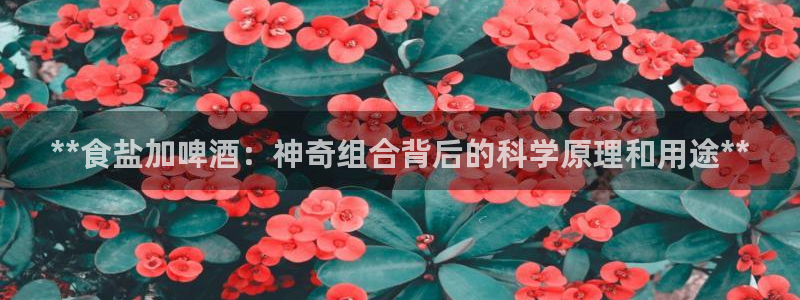 威九国际v96242cc官网版