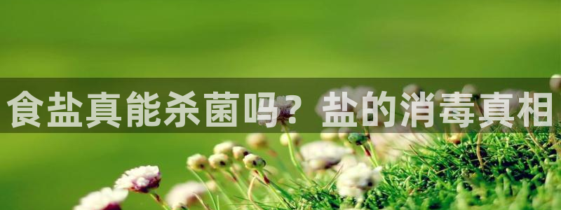 威九国际网站下载