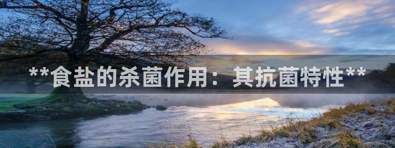 威九国际系列