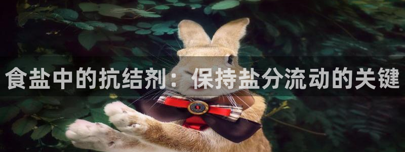 威九国际网站怎么样