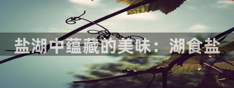 威九国际PPT