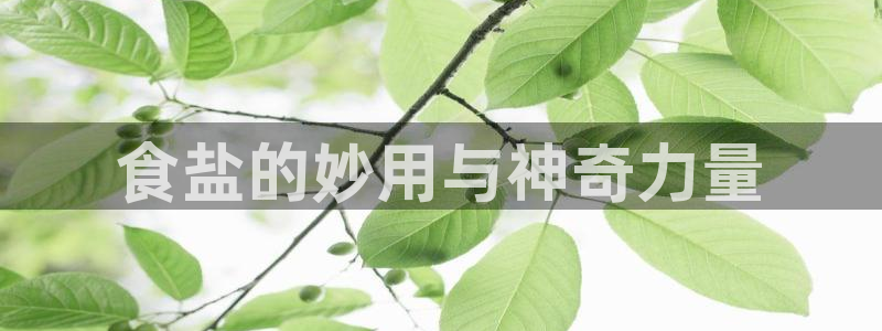 威九国际入口一