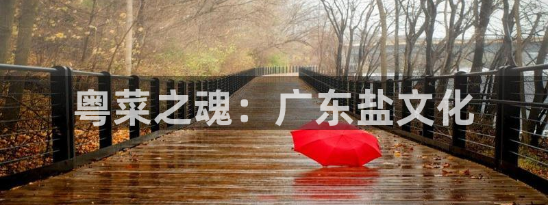 威九国际安全吗的认证团队