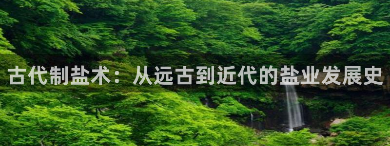 威九国际app网站官网