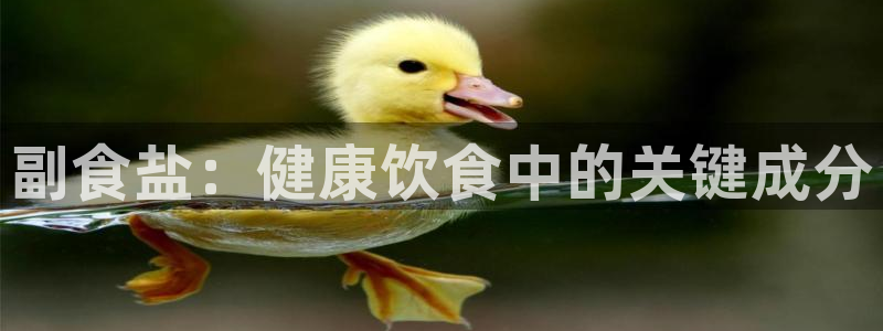 威九国际网站入口官网首页