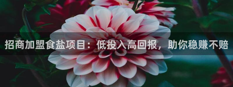 威九国际演员表