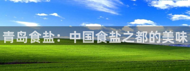 威九国际FF