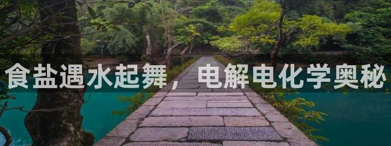 威九国际韩国