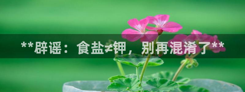 威九国际人民网