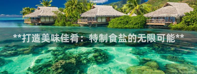 威九国际H