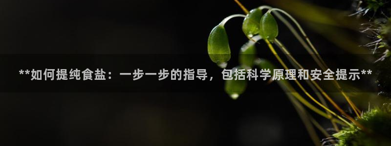 威九国际电影2022年9月月