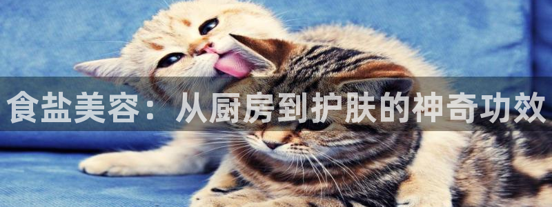 威九国际78mb42- MBA中文