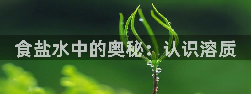 威九国际真人玩家在线对战