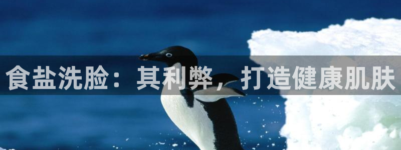 威九国际系列