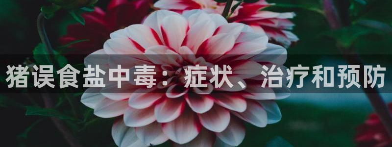威九国际演员表