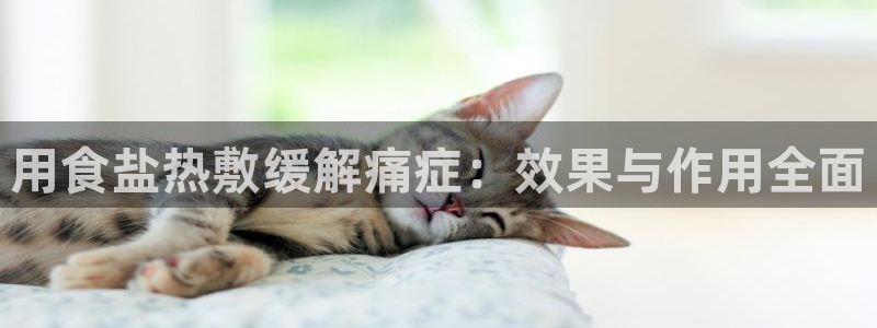 威九国际PPT