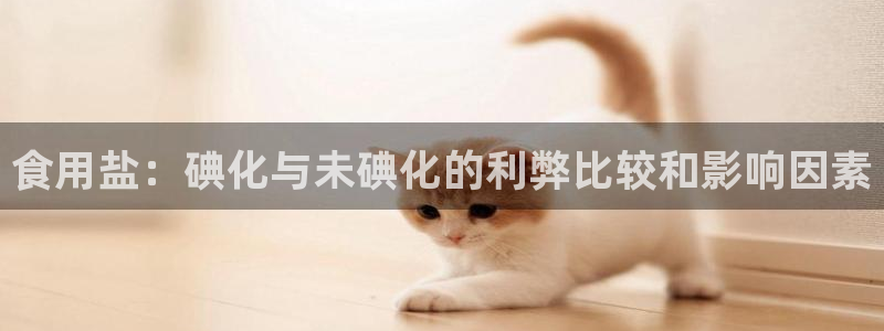 保定威九网络科技有限公司是干嘛的