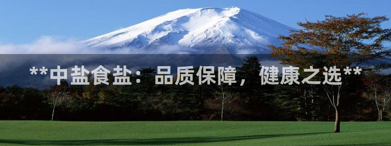 威九国际app大全下载安装