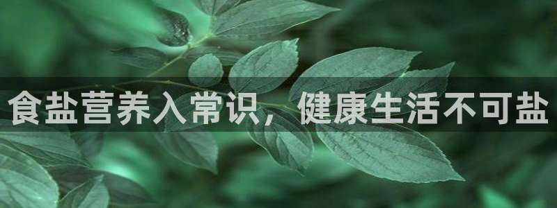 威九国际ft