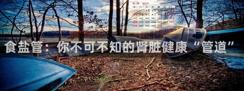 威九国际app客服电话号码