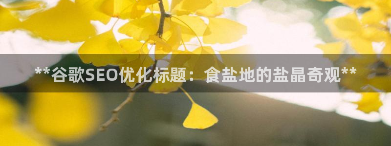 威九国际真人玩家在线对战