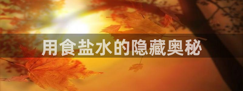 威九国际Info
