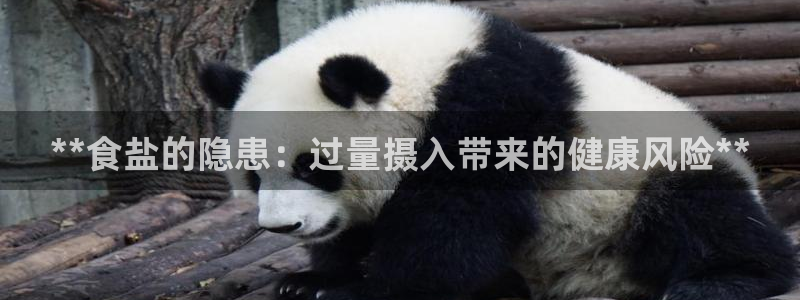 威九国际网站入囗
