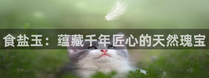 威九国际网站经常打不开网页