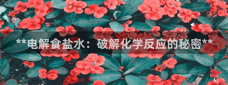 威九国际空降视频