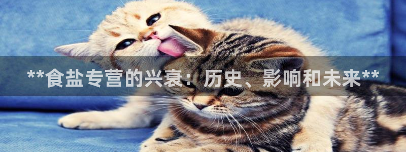 威九国际可以赚到钱