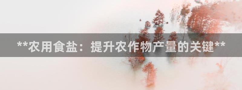 威九国际精忐