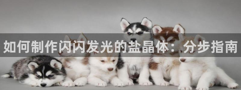 威九国际网站下载